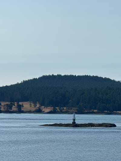 This image depicts a serene coastal landscape on Salt Spring Island, Canada. The scene is dominated by a body of calm, blue water in the foreground, which stretches towards a low-lying island covered in dark green trees. Perched atop this island is a white lighthouse with a dark top, standing as a solitary sentinel. Behind the island, the shoreline of a larger landmass is visible, characterized by a gentle slope covered in a dense forest. The trees are predominantly coniferous, creating a dark, almost blue-black carpet against the horizon. Patches of dry, golden-brown grass and scattered deciduous trees break up the uniformity of the forest further inland. The sky above is a pale, hazy blue, suggesting a clear but possibly slightly overcast day. The overall impression is one of natural tranquility and isolation, with the lighthouse serving as the sole man-made element in this otherwise wild environment.
