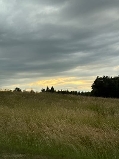 This media file depicts an outdoor scene in Meškinė, Lithuania. The image is oriented vertically, with the sky occupying the left side and a field of tall, dry grass on the right. A line of trees forms a dark silhouette separating the sky from the field. The sky is filled with a mix of grey clouds and lighter, illuminated streaks that suggest the presence of sunlight filtering through or reflecting off the clouds.
The time of day appears to be either sunrise or sunset, given the dramatic lighting and the warm, golden hues in the sky. The weather seems to be partly cloudy, with the clouds not completely obscuring the sky. The tall grass indicates a rural or natural setting, possibly a meadow or a field that has not been recently mowed.
There are no people or man-made objects clearly visible in the scene, making it a landscape focused on natural elements. The overall mood is serene and contemplative, evoked by the soft lighting and the vastness of the sky and field. No text is visible in the image.