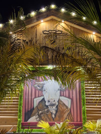 The image shows a mural of a cow dressed in a suit and holding binoculars, painted on the side of a wooden building. The building is adorned with lights and greenery, and palm trees frame the mural. The mural is located in Fujairah, United Arab Emirates. The scene is captured at night, with artificial lighting illuminating the building and the mural. The overall impression is one of a whimsical and artistic display.
