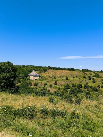 The image displays a landscape scene in Khotyn, Ukraine, under a clear blue sky with minimal cloud cover. A single, horizontally elongated white cloud is visible in the upper right quadrant of the sky. The foreground consists of overgrown, unkempt green and tan grasses interspersed with small white flowering plants. In the mid-ground, slightly to the left of center, stands a solitary, two-story, light-colored stone structure resembling a small tower or historical building with an arched entrance on its visible side. This structure features a multi-tiered, conical roof, possibly constructed from wood or shingles. It is situated on a low, green-covered hill or mound. The surrounding terrain is uneven, characterized by rolling hills and dense green foliage, including scattered bushes in the mid-ground and a continuous line of trees forming a horizon in the background. No individuals or animals are present. The scene is illuminated by bright daylight, suggesting a sunny day.