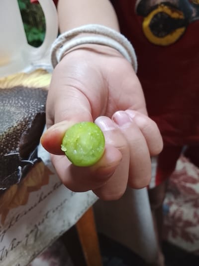 A close-up shot focuses on a person's hand holding a small, round, green berry. The berry is slightly translucent and appears to have a slightly bumpy surface. The fingers are visible, with neatly trimmed fingernails, some with a pale pink polish. A light-colored, possibly woven bracelet or band is visible around the wrist. The background is out of focus and includes a dark patterned surface and a hint of red fabric. There is no discernible location in the city of Жалпақсай, Kazakhstan.