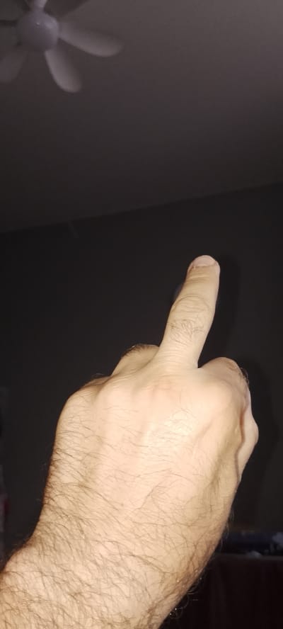 The image shows a close-up of a person's hand with the middle finger extended upwards. The hand is hairy and is in the foreground. In the background, out of focus, is a ceiling fan on a dark ceiling. The scene is not located in the city of Pavlovskoye, Russia.