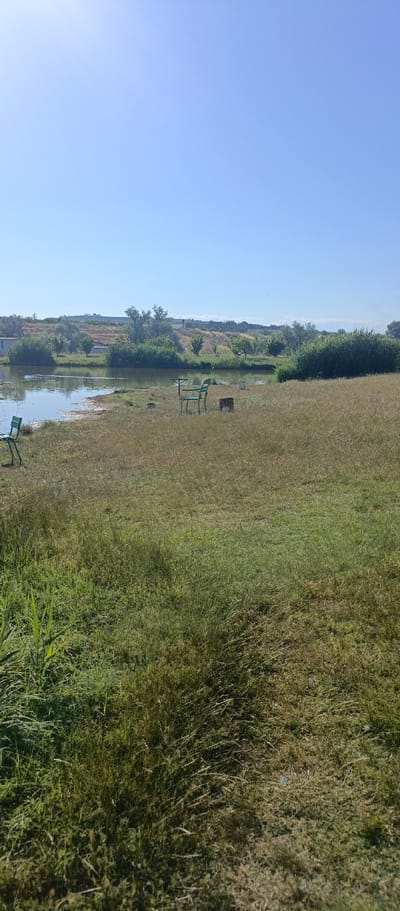 The image depicts a tranquil outdoor scene, likely near the city of Вилинское сельское поселение, Ukraine, on a clear, sunny day. In the foreground, a field of dry, tall grass stretches towards the viewer. Closer to the body of water, the grass is greener and interspersed with reeds. A calm body of water occupies the left side of the image, with its surface reflecting the sky and surrounding vegetation.
Along the edge of the water and on the grassy bank, several green metal chairs and small tables are placed, suggesting a recreational area. One chair is visible in the immediate foreground to the left, and another is further back near the water's edge. Two small tables are also present, one with a chair at it, and another further back. There are also a few white buckets or containers scattered around the seating area.
In the middle ground, dense green bushes and trees line the far bank of the water. Beyond the trees, a gently sloping, treed hill forms the horizon. The sky is a clear, pale blue, with no clouds visible. The overall impression is one of a peaceful, natural setting, possibly a fishing or picnic spot.