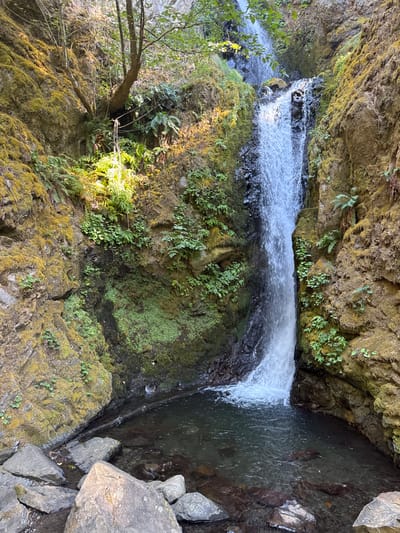 The image depicts Wyeth Falls, a natural waterfall located in Wyeth, United States. A substantial volume of water cascades vertically down a multi-tiered, rocky cliff face into a dark, calm pool at its base. The surrounding environment consists of steep rock formations covered extensively in bright green moss and various types of lush green vegetation, including ferns. Dappled sunlight illuminates portions of the upper left cliff and foliage. A single, dark-colored log lies partially submerged horizontally across the upper section of the pool. The foreground and edges of the pool are characterized by numerous light and dark grey boulders and smaller rocks. The water in the pool is still and appears clear, contrasting with the turbulent, white water directly beneath the waterfall. No human or animal subjects are present in the scene.