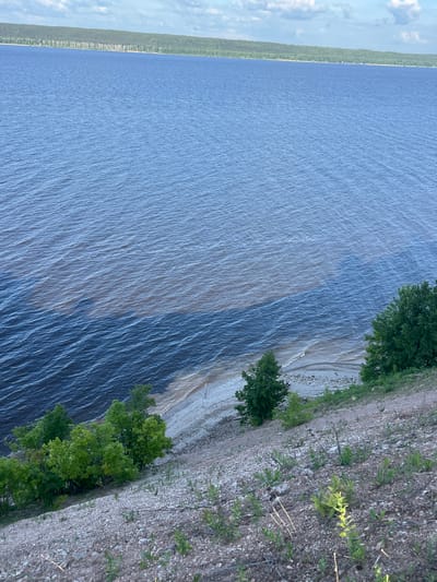 This image, captured in the vicinity of Grebeni, Russia, depicts an elevated perspective overlooking a wide river with a distant shore and a steep, rocky foreground bank. The sky in the upper portion is light blue with scattered white cumulus clouds.
Approximately one-third of the image, horizontally, is occupied by a distant, undulating landmass densely covered with dark green deciduous and coniferous forest, creating a distinct tree line above the far shoreline. Below this forest, a narrow, lighter-toned strip suggests a sandy or rocky beach along the distant bank.
The majority of the central and mid-ground of the image consists of a large body of water, consistent with a river. A prominent and distinct demarcation line runs diagonally across the water from the mid-left to the mid-right. The water on the upper-left side of this line is a deep blue, exhibiting wind-generated ripples. Below and to the right of this line, the water displays a turbid, reddish-brown hue, also rippled, indicating a confluence or localized sediment load. Closer to the near bank, the water transitions to a lighter sandy-brown as it meets the shore. A narrow, light-colored beach, composed of sand and small pebbles, is visible at the base of the near bank, with small waves breaking upon it.
The foreground on the right side of the image presents a steep, rocky slope, light grey to brown in color, composed of loose soil and small stones. Sparse green vegetation, including grasses and small leafy plants, is scattered across this incline. Several clusters of mature trees with vibrant green foliage are situated on the lower part of this slope, directly adjacent to the water's edge. No human figures, structures, or identifiable animals are present in the scene.