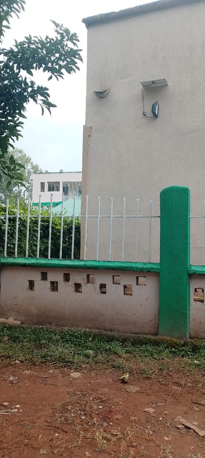 An eye-level shot shows a light brown building, featuring a security light and eaves. In front of it stands a fence with a green base and painted pillars, and a silver picket section. The base has spaced, square cut-outs. A taller building is visible in the background. The foreground consists of red-brown soil, with sparse patches of grass and some trash. A leafy tree branch is positioned on the left side. The sky is overcast.