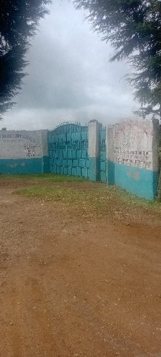 The image displays an outdoor scene at an entrance in Rwanyambo, Kenya, under an overcast sky. A closed, teal-blue metal gate, constructed from rectangular panels and featuring a curved, spiked top, is centrally positioned. This gate is flanked by two concrete pillars, each painted light grey on its upper section and teal-blue on its lower section. The left pillar shows faded white text, partially legible as "Y BASED CURRICULUM" and "CBC". The right pillar bears faded and partially illegible markings. The foreground consists of reddish-brown earth with sparse patches of green grass directly in front of the gate. Dark green coniferous tree foliage frames the upper left and right corners of the image. No individuals are present.