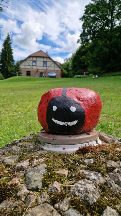 In Krastkalni, Latvia, a painted rock resembling a ladybug sits atop a small, weathered structure in the foreground. The rock is red with black markings and a smiling face. Behind it, a green lawn slopes up to a traditional, half-timbered building with a red roof. A dark-colored car is parked in front of the building. To the left, a tall evergreen tree stands, and to the right, a dense forest provides a backdrop. The sky is a vibrant blue with scattered white clouds. The overall scene depicts a peaceful, rural setting with a touch of whimsical decoration.