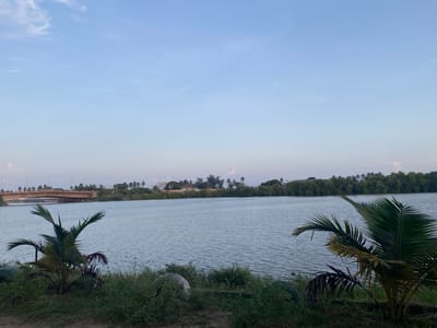 The image shows the Mono River in Aného, Togo. A bridge is visible in the background on the left side of the frame, connecting two landmasses across the river. The river surface is calm and reflects the sky. The riverbank in the foreground is covered in grass and two small palm trees that are situated at the bottom left and right corners of the frame. Beyond the river, there is a line of trees and some buildings. The sky is light blue with some clouds.