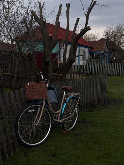 The image presents a rural landscape, likely in the village of Semeno-Aleksandrovka, Russia, under an overcast sky. In the foreground and midground, a bicycle leans against an weathered wooden picket fence. The bicycle has a light-colored frame, a brown saddle, and brown handlebars. A brown, wicker-style basket is attached to the front, with a grey fabric bag or pouch visible behind it. Part of a logo, "ODE", is faintly visible on the bicycle's frame.
To the left of the frame, a large deciduous tree, recently pruned with several stark, cut branches, stands prominently, partially obscuring the background. Beyond the fence and tree, a traditional wooden house with a steep, red corrugated metal roof is visible. The house features white-painted walls with distinctive blue trim around its windows and corners. Another bare tree can be seen further in the background. The ground in the foreground and to the right of the fence is covered in green grass, with some patches appearing darker, possibly from moisture or mud. The grey, cloudy sky suggests either early morning, late afternoon, or simply an overcast day, contributing to a muted light quality. The bare trees indicate either late autumn, winter, or early spring. No people are present, lending a quiet and still atmosphere to the scene.