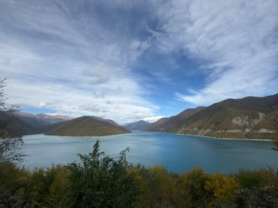 The image presents a wide landscape view of a large body of water located in the city of Aranisi, Georgia. The sky occupies the upper third of the frame, displaying a vibrant blue with scattered white, wispy cirrus clouds and denser cumulus formations. The central and mid-ground is dominated by a turquoise-blue lake, its surface appearing calm. Within the lake, towards the left, an oval-shaped island is visible, covered entirely in dark green vegetation. The lake is surrounded by steep, undulating mountains that rise from its shores and recede into the distance. These mountains are densely covered with foliage, predominantly dark green, brown, and some areas showing autumnal yellowish-green hues. A narrow road or path traces the base of the mountains along the right side of the lake. The immediate foreground features dark green and yellowish-green bushes and tree branches, partially obscuring the lower edge of the water. No individuals, animals, or active human interactions are present in the scene.