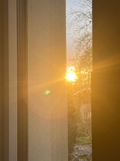 The image displays an exterior scene viewed through a narrow, vertical opening, likely a partially open door or window, framed by interior architectural elements. On the left, a vertical white window/door frame with molding is visible, adjacent to a textured, beige wall surface. On the right, a darker, solid wall or door jamb forms the opposite boundary. Intense golden sunlight enters from the upper right of the exterior view, creating significant lens flare, including a prominent green artifact on the left beige wall.
Outside, a bright sun is low in the sky, silhouetting numerous bare tree branches against a pale sky that transitions to an orange glow. Two small, dark birds are perched on a higher branch in the center. Below the trees, a chain-link fence runs horizontally across the middle ground. Further back, a light-colored building with a roof is partially visible. At ground level, green vegetation and a dark, possibly metallic, ornamental object are discernible. No human subjects are present. The scene is located in the city of Foetz, Luxembourg.