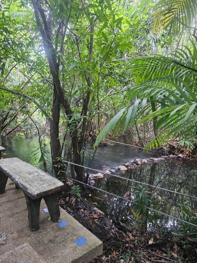 A long shot captures a serene natural scene in Tambon Khlong Thom Nuea, Thailand. In the foreground, a stone bench with a rough texture rests on a paved walkway adorned with small blue tiles. The bench's legs are shaped like tree trunks, adding to the natural aesthetic. Beyond the bench, a narrow river flows gently, bordered by lush green vegetation. The water is calm, reflecting the surrounding trees and foliage. A rope railing runs along the edge of the walkway, separating it from the river. The environment is dense with trees, their branches reaching towards the sky, creating a canopy of green. The overall impression is one of tranquility and natural beauty.