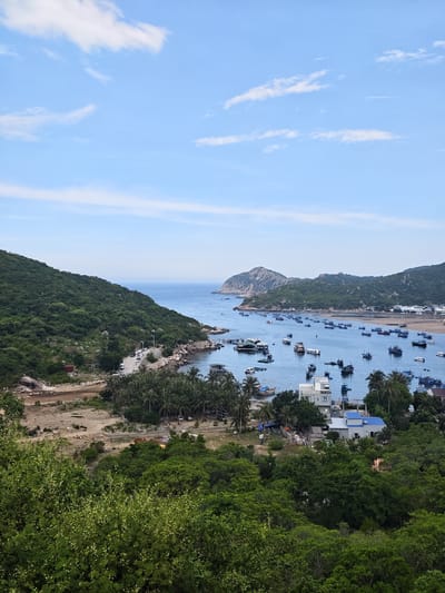 The image shows a coastal bay in Vĩnh Hải, Vietnam. The bay is filled with numerous fishing boats of various sizes. On the left side of the image, a steep, tree-covered hill slopes down towards the bay. A road runs along the base of the hill, with a few vehicles visible. On the right side of the bay, a settlement with houses and buildings is nestled amongst palm trees. In the background, more hills rise, with a rocky outcrop forming a prominent feature in the distance. The water is calm and blue, and the sky is clear with a few wispy clouds. The scene appears to be a peaceful, working fishing village.