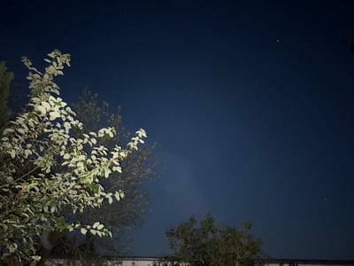 This is a nighttime photograph taken outdoors, likely in Neumünster, Germany. The image features a dark blue night sky with several visible stars, including one bright point of light that might be a planet or a particularly luminous star. In the foreground and to the left, branches of a tree are illuminated, revealing numerous pale green and white leaves. The illumination appears to be artificial, casting a soft glow on the foliage. To the right and lower part of the frame, other trees or dense foliage are visible, appearing darker and less distinct due to the low light conditions. A faint horizontal line at the very bottom suggests a rooftop or building structure. There are no people or discernible human activities in the image. The overall scene is tranquil and emphasizes the contrast between the illuminated tree and the vast, dark night sky.