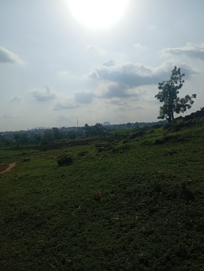The image depicts a rural landscape in Tasha, Nigeria, under a bright, overcast sky. The foreground is dominated by a grassy incline, with sparse rocks and patches of exposed earth. In the mid-ground, the terrain flattens out, revealing more rocks and scattered trees. Beyond this, a settlement is visible, characterized by numerous buildings with dark roofs, nestled amongst more trees. A prominent feature in the distance is a distinct, rounded rock formation. A tall communication tower stands amongst the buildings. The background is a hazy sky with scattered clouds, and the sun is a bright, washed-out orb at the top of the frame. The overall impression is one of a dry, rural environment with a dispersed population.