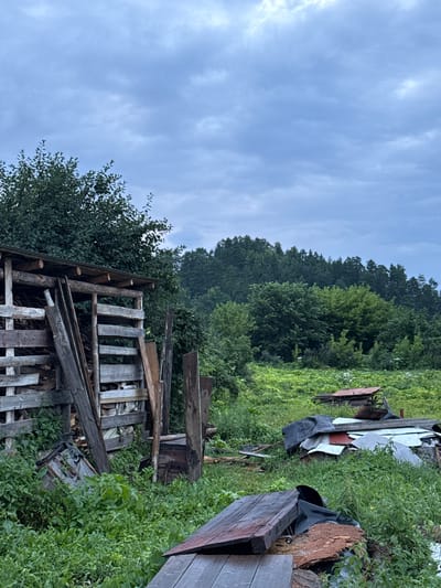 An outdoor scene depicts a cluttered yard with a wooden structure for storing firewood, overgrown vegetation, and piles of debris under a cloudy sky. The firewood shed, made of rough-hewn timber, is partially filled with logs and has several weathered wooden planks leaning against its side. In the foreground, a stack of rough wooden boards and other discarded materials is visible amidst tall green grass and weeds. Further in the background, a dense forest of deciduous and coniferous trees rises on a hill. The overall impression is one of rural neglect or a working homestead in disarray, consistent with the outskirts of a village like Gon'ba, Russia. No people are present in the image.