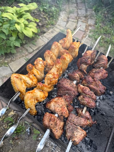 The image displays an outdoor grilling scene in the city of Valky, Ukraine. Eight metal skewers are positioned horizontally over a black metal barbecue grill (mangal) containing glowing charcoal embers and grey ash. Faint wisps of smoke are visible rising from the grill.
The four skewers on the left side are laden with cooked chicken wings, which appear golden-brown with light charring and visible seasoning. Each skewer holds approximately two to three wings. The four skewers on the right side hold multiple chunks of cooked meat, possibly pork or beef, which are browned with dark charring and visible spices. Each of these skewers contains approximately three to four meat pieces.
The grill is situated on a light-colored paved surface, composed of rectangular bricks or pavers. Beyond the paved area, a natural environment is visible, dominated by green vegetation. A large-leafed plant, possibly a Hosta, with light green foliage, is prominent in the upper left background, alongside other smaller green plants and areas of dark earth. No individuals are present in the frame. The lighting indicates daytime conditions.