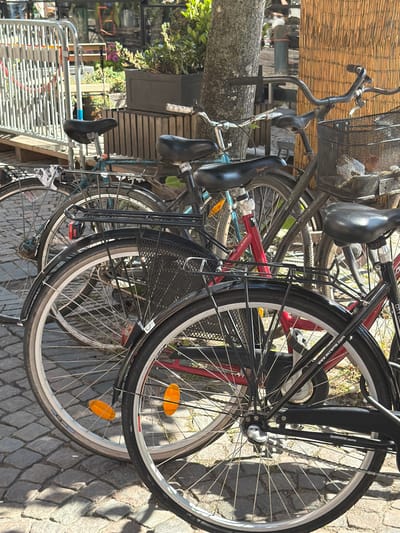 The image depicts a row of parked bicycles on a cobblestone street in Lund, Sweden, likely in the vicinity of a cafe or shop, given the presence of outdoor seating in the background. The bicycles are of various colors, including blue, red, and black, and most are equipped with baskets and fenders. The foreground is dominated by the rear wheels and frames of several bicycles, with visible details such as spokes, tires, chains, and reflectors. A portion of a metal barrier and a tree trunk are also visible in the scene. The lighting suggests it is daytime, with shadows cast on the cobblestones by the bicycles and surrounding objects.