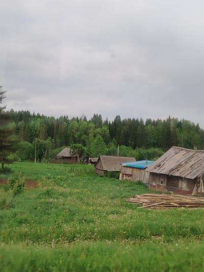 The image shows a rural scene in Malyi Dubovik, Russia. In the foreground is a meadow of tall green grass with numerous small white and purple flowers. In the middle ground, several weathered wooden buildings with slanted roofs are visible, varying in size and condition. Some lumber lies stacked near the buildings. A dense forest consisting of mixed green trees forms the background. The sky is overcast with gray clouds. There are no people visible.