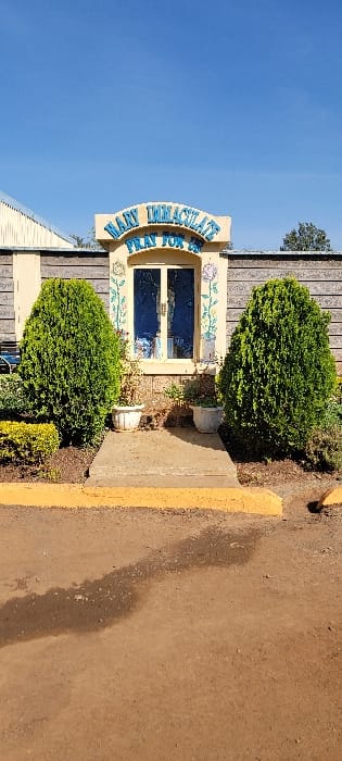 The image displays an outdoor scene in Wang'uru, Kenya, featuring the facade of a building under a clear blue sky. The central subject is a light-colored (possibly beige or light yellow) building with a prominent arched sign positioned above a large window or set of double doors. The sign reads "MARY IMMACULATE PRAY FOR US" in blue text, adorned with colorful floral designs. The wall immediately behind the window and sign appears to be made of horizontal wooden planks or siding.

Two large, well-manicured green shrubs flank the window, with smaller plants and foliage at their bases. Two white, decorative planters or urns are placed near the shrubs. A concrete pathway extends from the building's entrance toward the foreground. To the right of this path, the ground transitions to a dirt or gravel surface, featuring a distinct yellow-painted curb line. Dark, elongated shadows or wet patches are visible on the dirt ground.

The time of day appears to be daytime, likely morning or early afternoon, given the bright sunlight and the shadows cast on the ground. The weather is clear and sunny. The visible text on the sign strongly suggests a religious context, possibly a Catholic church, school, or grotto. No people or activities are present in the image.