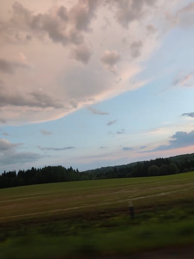 The image shows a rural landscape under a sky with scattered clouds. The clouds are tinged with pink hues, suggesting either sunrise or sunset. Below the sky, there is a dark line of trees that appear to be a forest or a dense grove. In front of the trees is a field, and its surface has a mix of brown and green. The bottom of the frame is out of focus and shows green vegetation. The image seems to be taken from a moving vehicle, based on the motion blur and the angle of the shot. Based on the prompt, this area is most likely near Glazunovo, Russia.