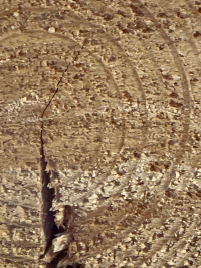 The image is a close-up, abstract view of a rough, textured surface that appears to be weathered wood. Concentric circular patterns, indicative of tree rings, are visible across the surface. A prominent, dark crack runs vertically down the left side of the image, revealing a deeper, shadowed crevice. The texture is grainy, with lighter flecks interspersed within the dominant brown tones, suggesting the material is a natural, organic substance. There are no discernible elements that place this image specifically in Andriankovo, Russia, nor any people, actions, or interactions.