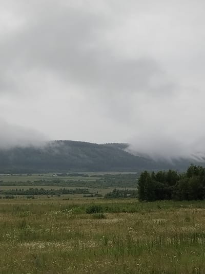 The image shows a landscape scene with a cloudy sky over a hilly, forested area and a field in the foreground. The terrain consists of rolling hills covered with dark green trees, with a lighter green valley or plain in between the hills and the foreground. The foreground is a field with various types of green grasses and some scattered white wildflowers. The sky is overcast with thick, gray clouds that obscure the horizon and the tops of the distant hills. No people, structures, or specific landmarks are visible to indicate a precise location within the city of Lakly, Russia. The overall impression is one of a natural, somewhat overcast rural or wilderness environment.