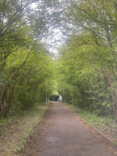 This image presents a serene, tree-lined pathway, likely a walking or cycling route, situated in Portsmouth, United Kingdom. The perspective looks directly down the path, which stretches into the distance, framed by a dense canopy of lush green foliage.

The dominant feature is the verdant archway formed by the trees, creating a natural tunnel effect. The leaves are a vibrant, fresh green, suggesting either spring or early summer. Bright, diffused light filters through the overhead branches, indicating a daytime scene, possibly under an overcast sky or during the soft light of morning or late afternoon, as there are no strong, defined shadows.

The path itself appears to be made of dark grey or brown asphalt or compacted gravel, showing some wear. It is bordered on the right by a low, dark curb or edge, separating it from the overgrown verges where smaller plants and fallen leaves are visible. In the middle distance, a tall, slender lamppost stands vertically beside the path, hinting at the path's maintenance and potential use after dark. Beyond the lamppost, the path continues to recede and appears to curve gently to the right, with a blurry structure or opening faintly visible at the very end.

No people or specific activities are depicted, giving the scene a peaceful and secluded atmosphere. The abundant greenery and natural light evoke a sense of calm and escape. There is no visible text in the image.