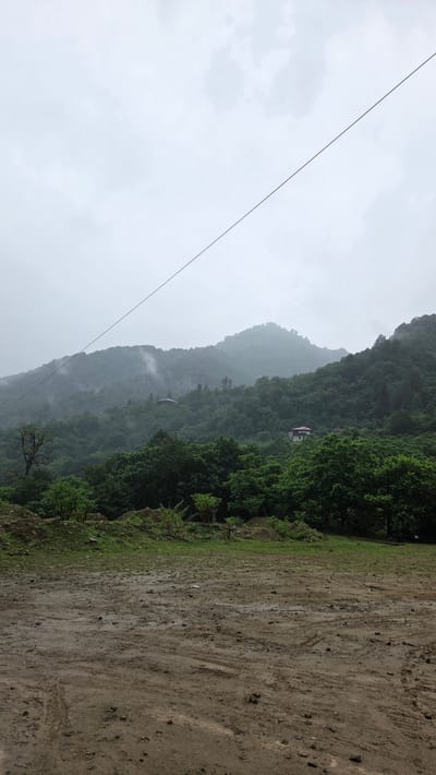 The image depicts a foggy, overcast day in a rural mountainous region. In the foreground, there is a muddy, uneven ground with tire tracks and scattered stones. A line of green vegetation, including trees and bushes, separates the foreground from the background. The background is dominated by lush, densely forested mountains. Mist or fog is visible rising from the slopes of the mountains. Two buildings, appearing to be houses, are situated amidst the trees on the mountainside. A power line runs diagonally across the upper portion of the frame, against the pale, cloudy sky. The overall scene suggests a remote, possibly humid climate characteristic of a mountainous area in Georgia, potentially within or near Chakvistavi, given the natural landscape. There are no people visible in the image.