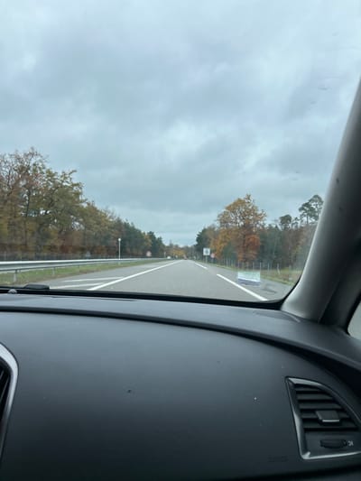The image presents a forward view from inside a vehicle traveling on a divided two-lane road in Haguenau, France. The sky is uniformly overcast, indicating daytime conditions. The road surface is asphalt, marked with solid white lines defining the shoulder and dashed white lines separating the two lanes. A silver metal guardrail runs parallel to the left side of the road.
Both sides of the road are lined with dense tree coverage, displaying autumnal foliage with various shades of green, yellow, and orange/brown, interspersed with darker evergreen trees.
Several road signs are visible. On the left side, a white circular sign with a red border indicates an 80 km/h speed limit. On the right side, further down the road, a white circular sign with a red border and a diagonal line through the number '80' signifies the end of the 80 km/h speed limit. Adjacent to it, a blue circular sign with white swirling arrows indicates a mandatory direction or roundabout ahead.
In the foreground, the dark gray dashboard of the vehicle occupies the lower portion of the image, showing part of an air vent on the right. Through the lower right section of the windshield, a small, partially obscured white and blue sign is visible on the grassy verge beside the road. No individuals are visible.