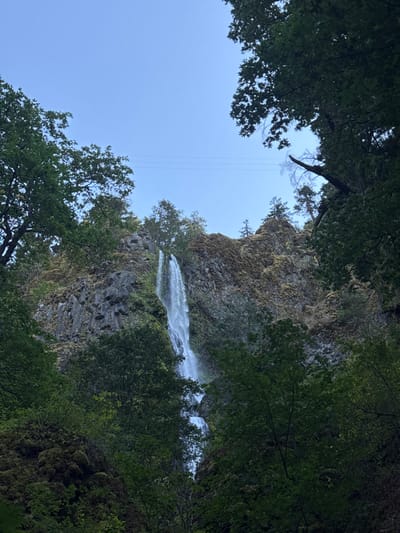 The image displays Wyeth Falls in Wyeth, Oregon, United States. A prominent, white-streaked waterfall cascades vertically down a tall, dark, textured rock cliff face. The cliff is extensively covered with green moss and various patches of vegetation, including small trees and shrubs. Dense, vibrant green foliage from numerous deciduous and coniferous trees frames the waterfall, occupying the foreground and both sides of the frame, with some branches extending into the upper corners. The sky visible above the waterfall and cliff tops is clear and light blue. Two thin, dark utility lines are visible strung horizontally across the upper central portion of the sky, spanning the gap between the tree-covered cliffs. No human figures, animals, or other man-made structures are present within the immediate scene.