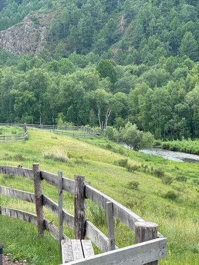 The image depicts a natural landscape with a prominent wooden fence in the foreground, separating a grassy field from a forest and a river. The fence is made of weathered gray wood, consisting of horizontal planks supported by vertical posts. Several small birds are perched on the fence.
The field behind the fence is covered in green grass with patches of taller, dry vegetation. A winding wooden fence runs through the field, curving into the distance.
Beyond the field, a dense forest of green trees stretches across a gently sloping hillside. In the upper left corner, a rocky, steep incline is visible, also covered with trees. A river flows from the right side of the image towards the left, bordered by lush green vegetation. The overall impression is a tranquil, rural setting, possibly within the natural environments of Anchyl-Chon, Russia, known for its forested areas and rivers.
