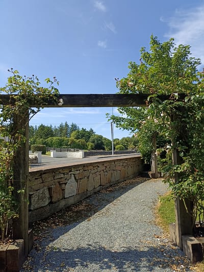 The image depicts an outdoor scene framed by a wooden pergola covered in roses, suggesting it might be a garden or entryway. A stone wall runs along the right side of the path, with a memorial plaque visible on the wall. The path itself is covered in gravel, with scattered leaves. In the background, there is a white-walled structure, a paved area, and a dense line of trees. The sky is clear blue with a few wispy clouds. The overall impression is a tranquil, rural setting. The presence of a memorial plaque suggests a place of remembrance, possibly a private garden or a memorial area within a public space. The architecture and vegetation are consistent with a setting in Ireland, and the specific mention of Dungloe, Ireland, as the location strongly indicates this is a scene from that town, possibly a personal garden or a public memorial space.