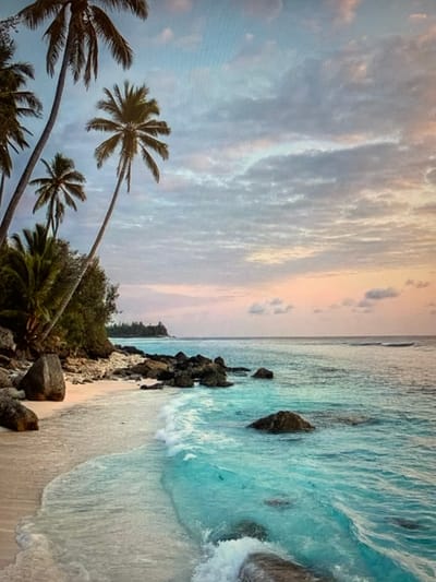 This media file depicts a tropical beach scene, likely at sunset or sunrise due to the soft, warm hues in the sky and the gentle lighting. The image is oriented vertically, with the ocean occupying the right half and the sky and palm trees the left.

The main subjects are the natural elements of a beach: a sandy shore, a rocky coastline with dark boulders, and the ocean. The water is a vibrant turquoise, with gentle waves lapping at the shore, suggesting calm weather. Several palm trees with their characteristic fronds are prominently featured in the foreground on the left side, their silhouettes stark against the sky. In the distance, along the rocky coast, there is some lush green foliage.

The scene conveys a sense of tranquility and natural beauty, typical of a tropical paradise. The time of day is suggested by the colors in the sky, which transition from a pale yellow and pink near the horizon to a soft blue with wispy clouds above. There is no activity or event taking place; it is a still, scenic view. No text is visible in the image.

The provided location context "Konstantinovka, Kyrgyzstan" is inconsistent with the visual elements of a tropical beach with palm trees and turquoise ocean. This discrepancy suggests that the location information may be erroneous or the image has been misattributed. Based solely on the visual content, the setting is clearly a tropical coastline.