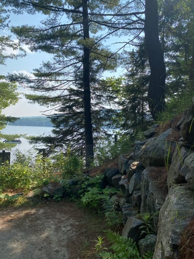 The image depicts a lakeside scene on a clear day, with tall pine trees framing the view. In the foreground, a dirt path leads towards a rocky embankment covered in green foliage and ferns. The lake stretches out in the background, dotted with a few boats and a distant treeline. The location is identified as the city of Duhamel, Canada.