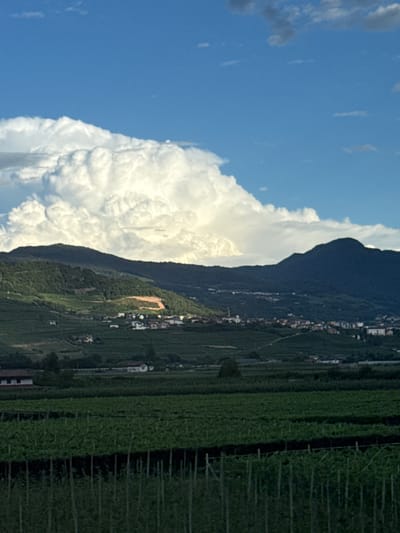 The image captures a scenic landscape near Nave San Rocco, Italy, under a bright blue sky with large, fluffy white clouds. In the foreground, a field of green crops, possibly vineyards, is visible with rows of trellises. Beyond this, the middle ground features rolling hills covered in dense green vegetation, dotted with small clusters of white buildings that suggest a village or town. The backdrop consists of dark, imposing mountains that rise against the sky. The overall impression is one of rural tranquility and natural beauty.