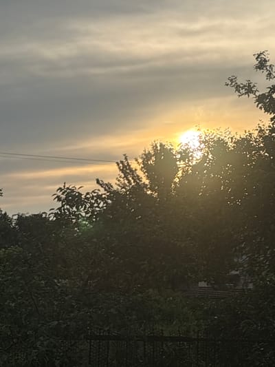 This is a vertically oriented image depicting a natural outdoor scene. The sky is filled with soft, muted clouds, with a bright, diffused sun shining through from the left side of the frame. The sun's rays cast a warm, golden glow across the sky, creating a hazy, ethereal effect.
In the foreground and right side of the image, the dense foliage of trees obscures much of the background. The leaves are dark and appear to be in shadow, contrasting with the brighter sky. Through a gap in the trees, a glimpse of a structure can be seen, featuring what appears to be vertical metal bars and a patterned surface, possibly part of a fence or gate. A single power line runs horizontally across the frame, also silhouetted against the sky.
The overall mood of the image is serene and peaceful, with the soft light and natural elements creating a tranquil atmosphere. The time of day is likely late afternoon or early evening, given the warm, diffused sunlight and the long shadows suggested by the tree cover. The weather appears to be overcast but clear enough for the sun to be visible. The location context suggests this scene is in the Tsiareshkawicki rural council area of Belarus. No text is visible in the image.