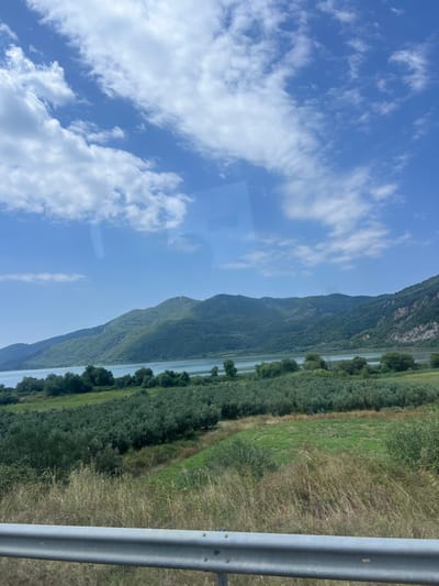 A scenic view captures a body of water, possibly a lake or bay, bordered by rolling, tree-covered mountains under a bright blue sky with scattered white clouds. In the foreground, a field of green grass and olive groves slopes down towards the water. A metal guardrail runs along the bottom of the image, suggesting a roadside perspective. The scene is devoid of people or any discernible activity, presenting a tranquil, natural landscape. The location is identified as the Municipal Unit of Fyteies, Greece.