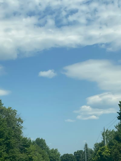 The image depicts a bright, daytime outdoor scene, likely from a moving vehicle given the perspective and composition. The sky dominates the upper portion of the frame, a clear blue punctuated by scattered white cumulus clouds. The lower portion of the image is filled with lush green trees, forming a dense canopy. On the right side, a utility pole with wires is visible, partially obscured by the foliage. The overall impression is one of a rural or suburban environment, characteristic of areas like East Hawkesbury, Canada, with its abundant natural greenery and infrastructure. There are no people or animals visible in the frame. The lighting suggests fair weather conditions.