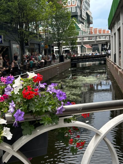 The image depicts a picturesque canal scene in Zaandam, Netherlands. In the foreground, a cluster of vibrant flowers, including purple petunias and red geraniums, are artfully arranged in planters attached to a white railing and a silver pole. The canal water, reflecting the surroundings, creates a shimmering, textured surface.
Behind the railing, a waterway runs alongside a street lined with distinctive Dutch architecture. The buildings feature characteristic stepped gables and a mix of green and white facades. Numerous people are visible on the street and along the canal banks, suggesting a bustling atmosphere. Some individuals are seated, possibly at outdoor cafes or on benches, while others are walking.
The activity appears to be a leisurely daytime scene, likely a pleasant day given the clear sky and the presence of people enjoying the outdoor environment. The reflection of trees and buildings in the water adds depth and a sense of place. The overall impression is one of a lively European canal town on a bright day, where locals and possibly tourists are enjoying the ambiance. The scene evokes a sense of relaxed urban life and the charm of canalside living.