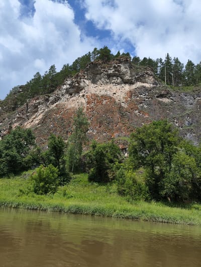 A wide, brown river flows in the foreground, its surface rippling with gentle waves. The riverbank is lined with lush green grass and tall reeds. Behind the riverbank, a steep, rocky cliff face rises dramatically. The cliff is composed of various shades of rock, with patches of reddish-brown moss or lichen clinging to its surface. Pine trees and other green foliage grow along the top and sides of the cliff, their dark green contrasting with the lighter rock. The sky above is a bright blue, dotted with fluffy white clouds. The scene depicts a natural landscape, likely in a rural or wilderness area. The time of day appears to be daytime, given the bright lighting and clear blue sky, and the weather seems pleasant and sunny. The location cues are consistent with a riverine environment near a rocky geological formation, such as those found in the Lakly region of Russia. No people, objects, or visible text are present in the image.