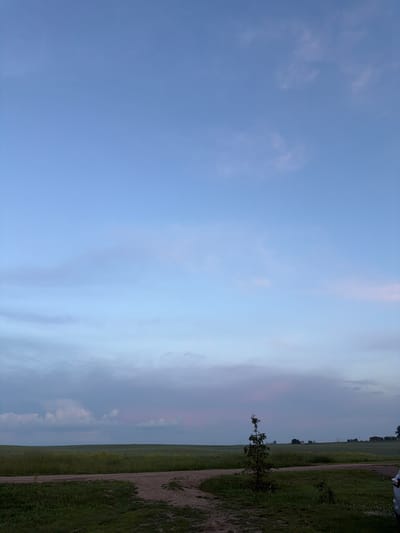 The image depicts a wide, open landscape under a pale blue sky with scattered, wispy clouds. The horizon is lined with a flat, green field, hinting at agricultural land or rolling plains. In the foreground, a dirt path or road curves through dark green grass. A small, solitary evergreen tree stands to the right of the path, its branches reaching upwards. In the distance, several buildings are faintly visible, suggesting a rural settlement or farmsteads. The lighting suggests either early morning or late evening, with a soft, diffused light. The location is specified as Nizhniy Suyk-Su, Russia.