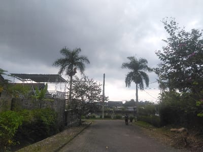 The image depicts an outdoor urban or semi-urban scene in Kladné, Czechia, under a heavily overcast, dark grey sky. A dark asphalt road extends from the foreground into the middle distance, where two individuals are observed walking away from the camera. The leading person wears a dark top and light-colored lower garments, while the second person, partially obscured, is also dressed in dark attire.
On the left side of the road, a concrete or stone retaining wall is partially covered by dense green foliage. Above this, a structure with a metal-framed canopy roof is visible. A concrete drainage ditch runs along the immediate left edge of the road. Prominent in the scene are two tall palm trees with full, fronded crowns; one is positioned to the left, behind the wall and foliage, and the other is further right of the road. Additional deciduous trees and bushes, some exhibiting subtle purple blossoms, line the road, particularly on the right side which features a dirt verge. The background reveals indistinct buildings or structures beneath the hazy sky.