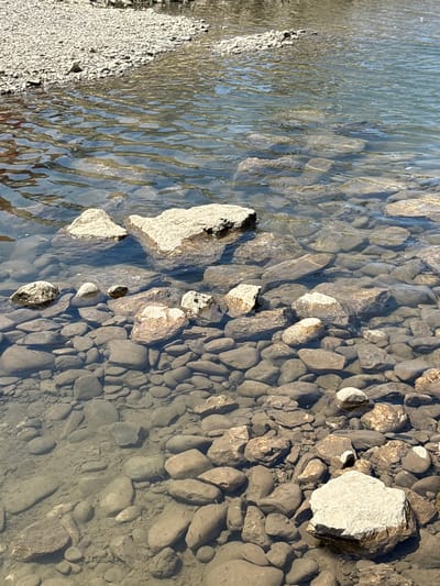The image shows a shallow, clear body of water, likely a river or stream, with a rocky bed. The water is gently flowing, creating ripples on the surface that distort the view of the submerged stones. The stones vary in size and shape, from small pebbles to larger, rounded rocks. Some of the rocks are light in color, while others are darker grays and browns. The sunlight illuminates the water, casting shadows from the stones and creating a shimmering effect. On the left side of the image, a shoreline made of small white pebbles is visible. The overall scene conveys a sense of natural tranquility. No people or text are visible in the image. The lighting suggests it is daytime, likely under clear or partly cloudy skies. The setting appears to be a natural, undeveloped area.