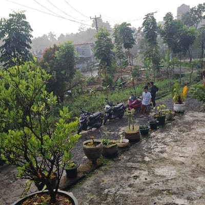 The scene is a residential area in Kecamatan Tamansari, Indonesia, with a small group of people standing near a row of parked motorbikes. The motorcycles are parked on a gravel driveway, which is surrounded by lush greenery. The people are all wearing casual clothing, and they are talking to each other. There are potted plants lining the driveway, and the scene is bathed in the soft light of early morning. The location is determined by the coordinates provided: latitude -6.635, longitude 106.738.  A house is visible in the background.