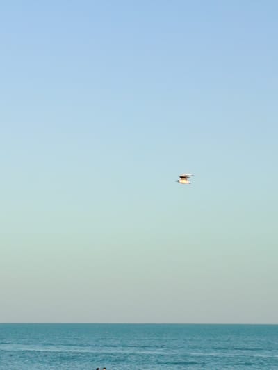 The image captures a serene seascape with a clear, pale blue sky transitioning to a soft, greenish hue near the horizon. The tranquil, blue-green ocean stretches across the bottom portion of the frame, with gentle ripples on its surface. High in the sky, a single seagull is in mid-flight, its wings outstretched. Near the bottom edge of the image, partially submerged in the water, are the heads of two individuals, suggesting they are swimming or wading. The scene appears to be an outdoor environment, likely a beach or coastline, under a bright, possibly daytime, sky. The location is specified as Toranghylyk, Kazakhstan.
