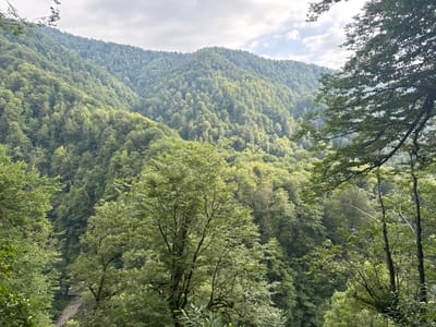 The image shows a dense, verdant forest covering rolling hills. The vegetation is lush and varied, with different shades of green indicating the diversity of trees and foliage. The terrain appears to be mountainous, with the forest extending up the slopes of the hills. The sky is visible in the upper portion of the image, with some clouds present. The foreground is dominated by the branches and leaves of trees, framing the view of the forest-covered hills. The scene is one of natural wilderness. This landscape is consistent with the mountainous regions surrounding Azhek, Russia, known for their extensive forests. There are no people or man-made structures visible in the image.