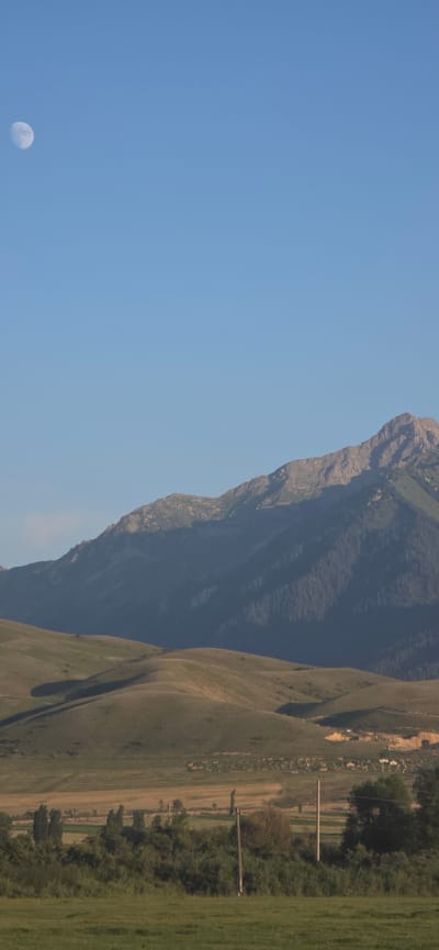 The image depicts a wide landscape under a clear, pale blue sky. In the upper left quadrant of the sky, the moon is visible as a crescent shape. The middle ground features rolling, sun-drenched hills with shadows cast across them. In the distance, a large, imposing mountain range dominates the horizon, its slopes covered in dark green pine trees, with lighter, rocky peaks visible at the top. The foreground consists of a grassy field, with a line of trees and shrubs separating it from a more cultivated area with visible power lines and poles. In the far distance, a small cluster of buildings, possibly a village or settlement, can be observed near the base of the mountains. The scene appears to be a rural or mountainous environment, possibly in or near Качыбек (Раздольное), Kyrgyzstan, given the characteristic mountainous terrain and vegetation. There are no people or animals directly visible in the image.