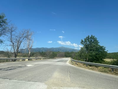 The image shows a scenic view of a road leading towards a mountainous landscape under a clear blue sky. The road is paved and has white lane markings, including an arrow indicating a turn or lane change. Guardrails line both sides of the road. On the left side of the road, there are bare, leafless trees, suggesting a dry season or a location with deciduous trees that have lost their foliage. Further back, lush green trees and vegetation cover the slopes of the mountains. On the right side of the road, a dense, leafy green tree stands prominently. The overall environment appears to be rural or semi-rural. The image does not contain any people or specific urban elements that would indicate a precise location within Slatino, Bulgaria.